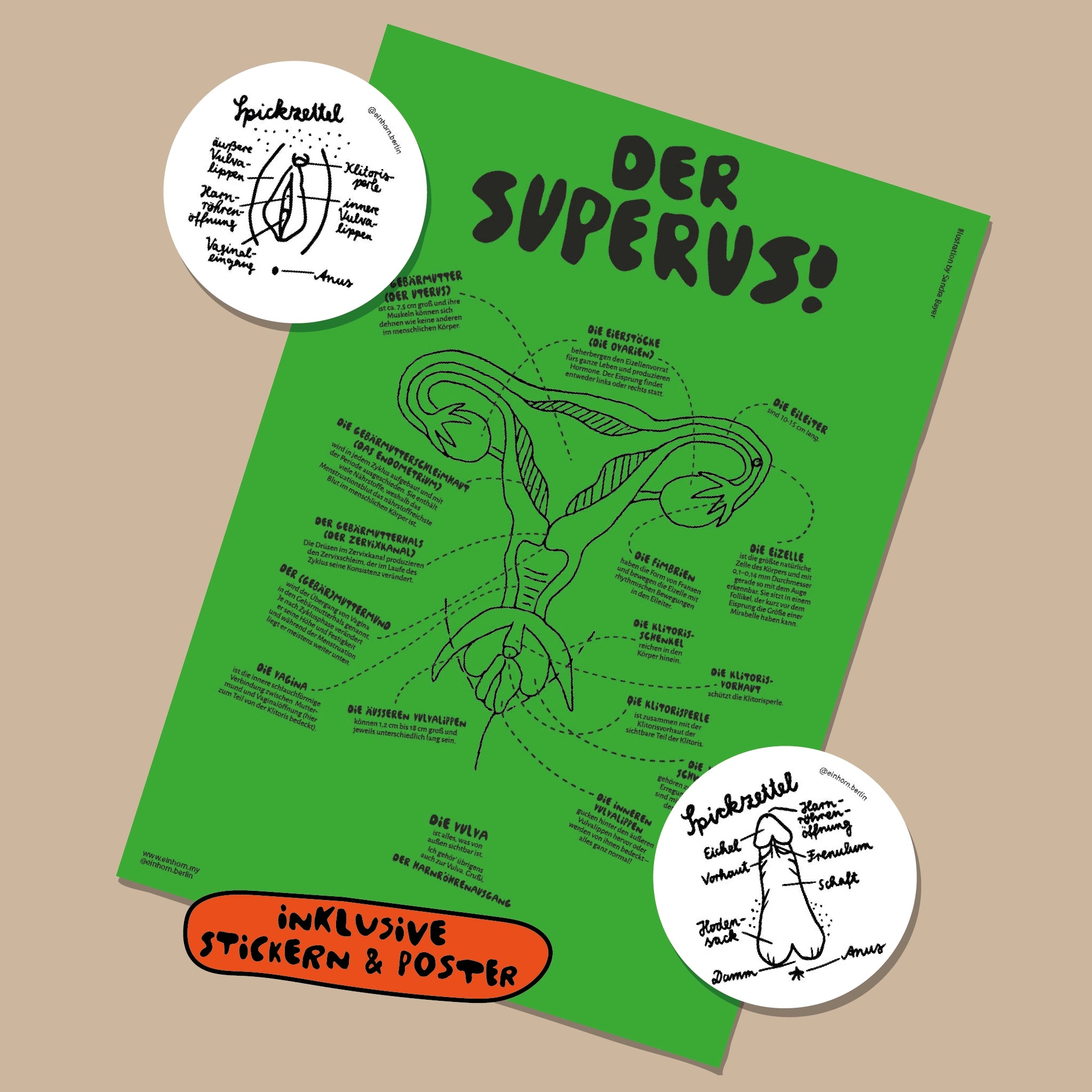 einhorn-classico-superkit-aufkl-rungsset-cup-tampons image 5