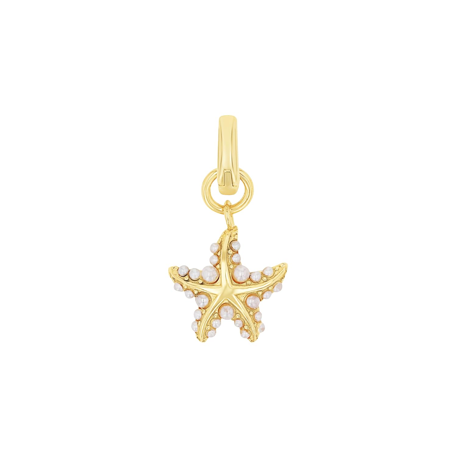 amor-charms-muschel-silber-charm-anh-nger-damen image 7